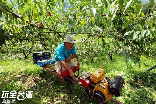 Da Kuan Peach Farm Resort Hualing Exteriör bild